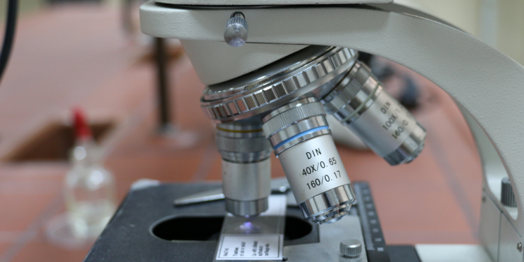 Cells and tissues studies Lab